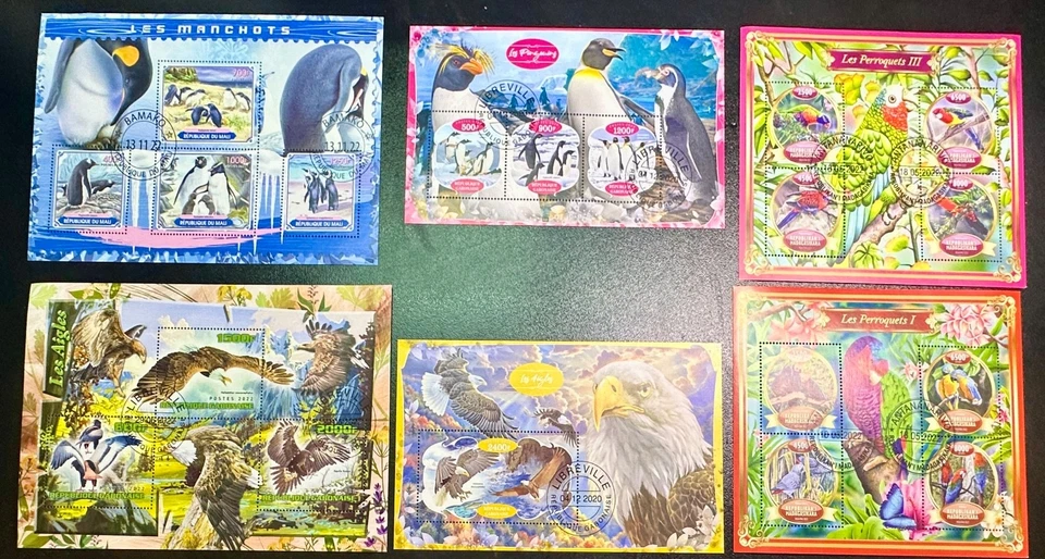 B733, 6 sábanas grandes de recuerdo con pájaros Foto 1 de 1