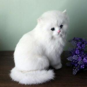 Realistic Persian Cat Pet Plush Kids Stuffed Animal Toys Simulation Doll###