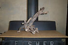 16" x 16" x 15" DRIFTWOOD for AQUARIUM/DECOR/TAXIDERMY for FISH or GAME MOUNT #1