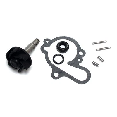 Repair Kit Water Pump Rieju RR Am 6 Supermotard 50 1997 1998 - Image 1 of 4