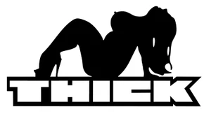 THICK CHICK Vinyl Decal, Bumper Sticker, JDM, Funny, Car, Windows, Outdoors, etc - Picture 1 of 5