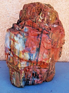 Camp Pecking Anvil Colorful Petrified Wood Arizona 17 lb - Picture 1 of 10