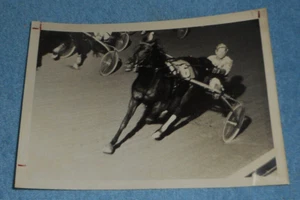 1980 Harness Racing Press Photo Horse "Super Marty" Herman Hylkema Unknown Race - Picture 1 of 2