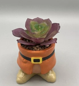 Snow White Planter Faux Succulent Terrarium Disney Garden Seven Dwarfs DOC - Picture 1 of 3