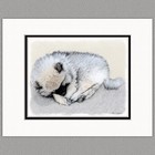 Keeshond Sleeping Puppy Original Art Print 8x10 Matted to 11x14