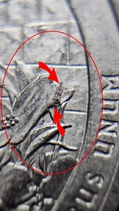 Quarter Coin The Worm of Blue Ridge Parkway North Carolina 2015 P - Picture 1 of 3