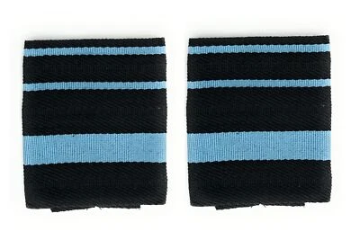 Air Force Officers Rank Slides Air Marshal R2626 - Image 1 of 2