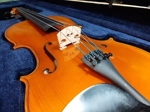 PLJBL - True Intermediate Viola #D 15,5" perfekter Flugstart, zweites Instrument - Bild 1 von 12