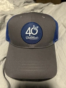 Gorra de béisbol Dollywood 40 aniversario, Dolly Parton - Imagen 1 de 1