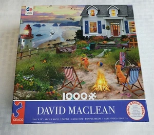 Ceaco David Maclean Coast With Lighthouse 1000 Piece Jigsaw Puzzle #43370 - Bild 1 von 6