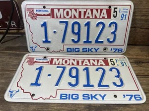 Montana 1982 Silver Bow COUNTY BICENTENNIAL License Plates PAIR #1 79123 Big Sky - Picture 1 of 2