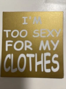 I’M Too Sexy For My Clothes Magnet for Car Truck SUV Or Refrigerator Waterproof - Picture 1 of 1