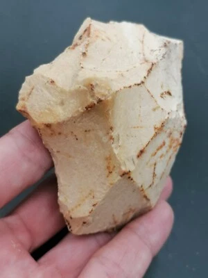 Mid Paleolithic Neanderthal France Mousterian carinated nose scraper in flint - Image 1 of 4