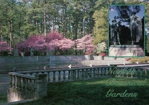 Norfolk Botanical Gardens Norfolk Virginia, Azaleas, Statue, etc. VA -- Postcard - Picture 1 of 2