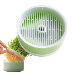 Cat Grass Planting Box Plant Growing Kit Hydroponic Cat Grass Soil-Free Planter - Picture 1 of 16