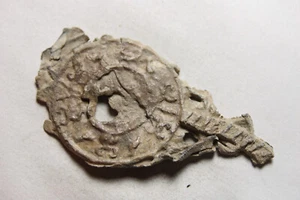 Rare Ancient Roman Burial Ritual Lead Mirror artifact decorated 1-3rd Century AD - Picture 1 of 6