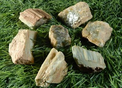 Gemas sueltas ásperas ojo de gato de 1010,0 quilates con mentalidad de tierra natural sin tratar Foto 1 de 4