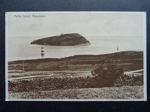 Wales Cymru ANGLESEY Beaumaris PUFFIN ISLAND - Old RP Postcard - Picture 1 of 2
