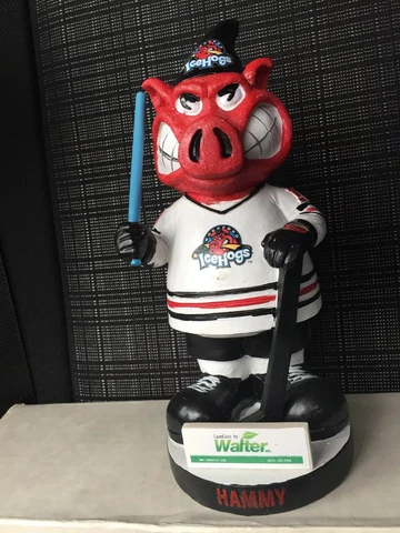 Rockford Ice Hogs Hammy Mascot Star Wars Gnome SGA Chicago Blackhawks 2018 Cover