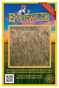 1000 Big Bluestem Native Grass Seeds - Everwilde Farms Mylar Seed Packet - Picture 1 of 3