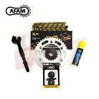 AFAM Recommended X-ring Gold Chain and Sprocket Kit fits Suzuki DR500S 1981-1983