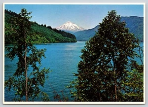 Postcard Yale Lake and Mt St Helens National Volcanic Monument Washington - Picture 1 of 2