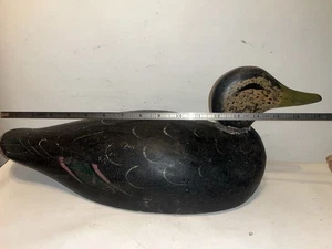 Elmer crowell model black duck decoy Sperry factory - Picture 1 of 18