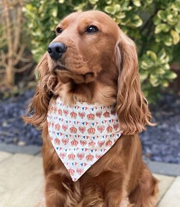 Royal Coronation King Crown UK Dog Regal Bandana Slip On Collar - Picture 1 of 9