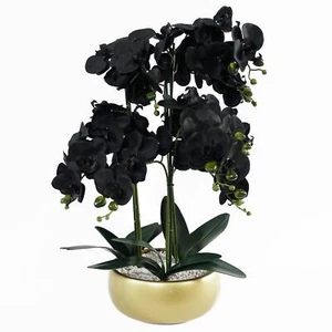 Maceta Artificial Orquídea Negra con DORADA Cerámica - Imagen 1 de 4