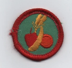 Alimentación saludable, insignia de competencia Junior GS, parte posterior de gasa de plástico (1980-91) - Imagen 1 de 1