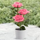 fr 3LED Rose Flower Solar Light Bonsai Flowerpot Garden Home Office Table Lamp