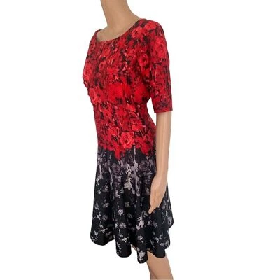 Gabby Skye Red Black Floral Holiday Fit & Flare Dress 12 - Image 1 of 4