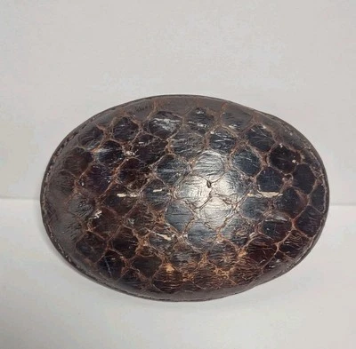 Justin 35 X коричневый кожаный змеиная кожа покрытый ремень пряжка деревенский ковбой - Изображение 1 из 4