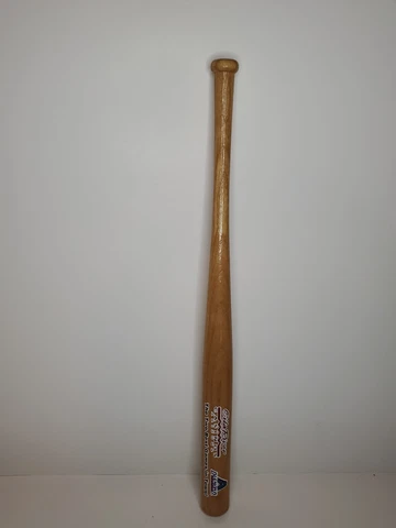 Arizona Diamondbacks Gila River Casinos Mini Bat The Two Best Games in Town Cover
