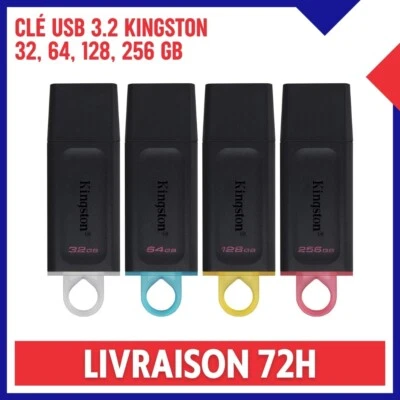 Clé USB 3.2 KINGSTON DataTraveler Exodia 32, 64, 128, 256 Go DTX GB Stockage - Photo 1/4