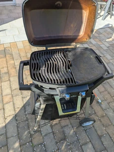 Napoleon Gasgrill - Bild 1 von 5