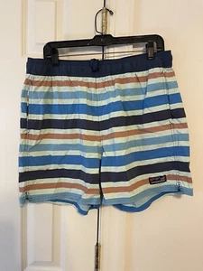 Patagonia Stretch Wavefarer Volley blau gestreifte Schwimmshorts extra groß EUC - Bild 1 von 4