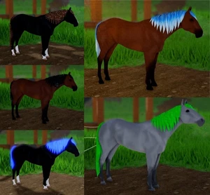 Wild Horse Islands - 5x verschiedene Quarter Horses - IUH Konvolut - Bild 1 von 1