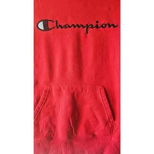 Youth XL Champion Hoodie - Picture 1 of 4