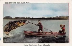 1946? Near Blenheim Ont. Canada Fish Here Fishing Exaggerated Postcard - Picture 1 of 2