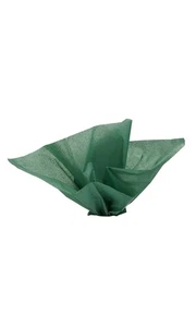 SSWBasics 20" x 30" Deep Green Tissue Paper - Picture 1 of 1
