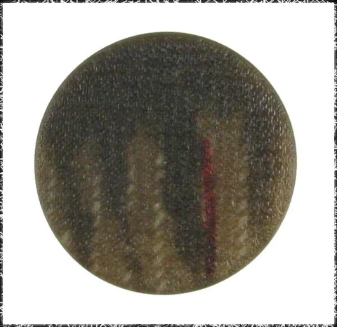 Antique Dyed Design Vegetable Ivory Button w/ Unusual Pad Shank Cover