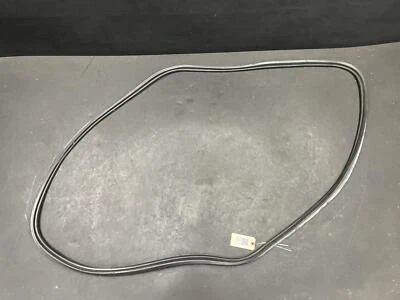 Puerta trasera Weatherstrip 2020 GMC Acadia 84859970 2017 2018 2019 2021 - 2023 Foto 1 de 4