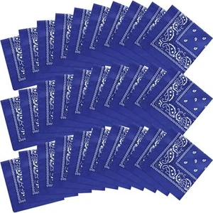 30 Pcs Unisex Paisley Bandanas Cowboy Head Wrap Scarf Bulk Handkerchiefs - Picture 1 of 7