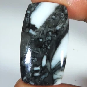 26.80 Ct Natural Orthoceras Cushion Shape Designer Gemstone 18x31x4 mm hg-23 - Picture 1 of 2