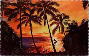 Tropical Sunset The Sunny Caribbean Decaled Edges Chrome Postcard 899 - Picture 1 of 2