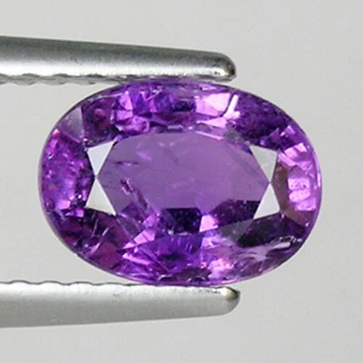 1.61 ct EXTREME /  NATURAL  UNHEATED PURPLE SAPPHIRE  Oval Cut  1720 SPL - Image 1 of 2