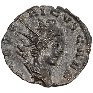 IMPERIO ROMANO. TETRICO II (273 - 274 d.C). ANTONINIANO. - Imagen 1 de 2