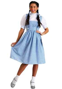 Dorothy Long Dress Costume - Picture 1 of 1
