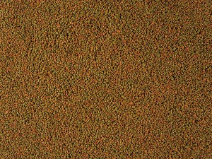 Premium MALAWI MBUNA CICHLID, DISCUS FISH FOOD, MIX SPIRULINA GRANULES FISH FOOD - Picture 1 of 1